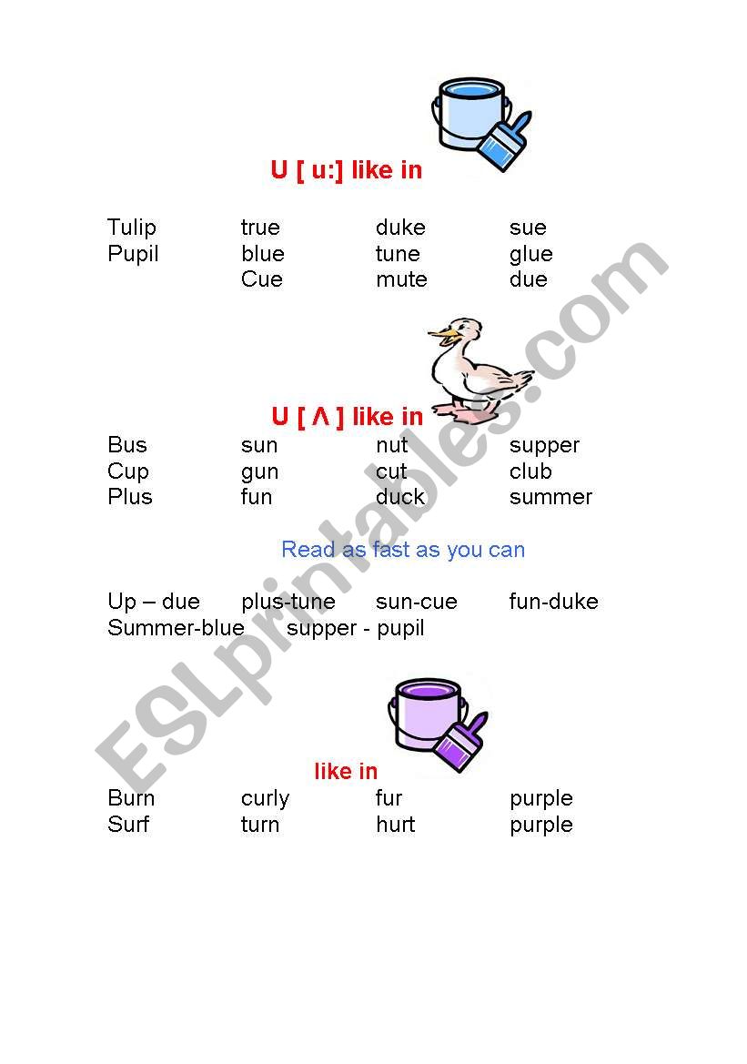 main rules for reading (U) worksheet