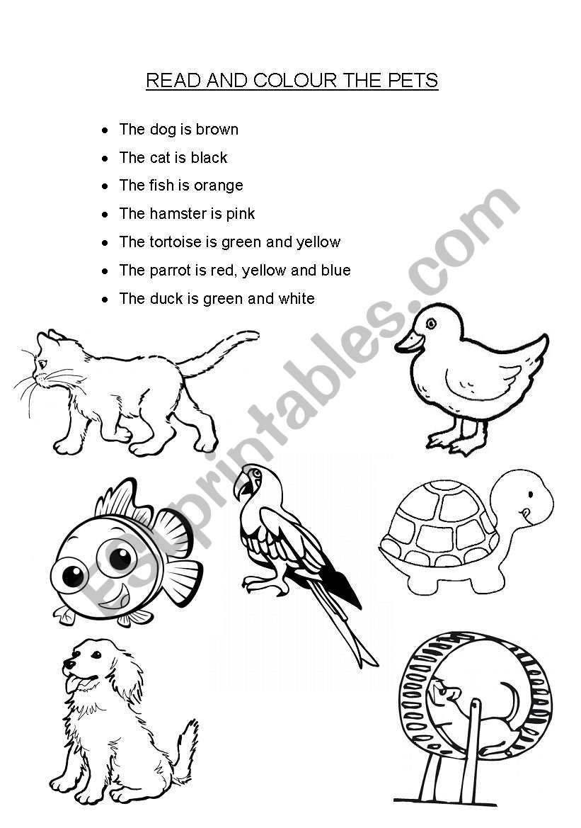 Read and Colour the Pets worksheet