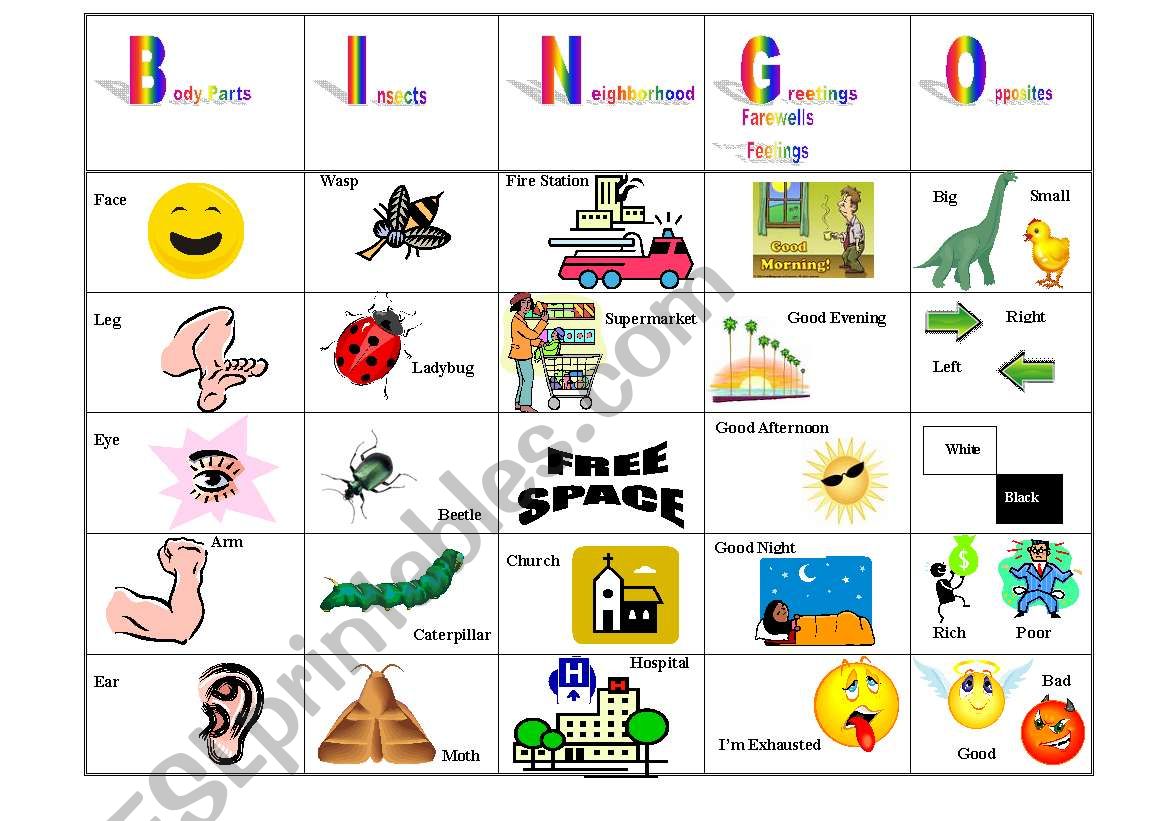 Vocabulary Bingo worksheet