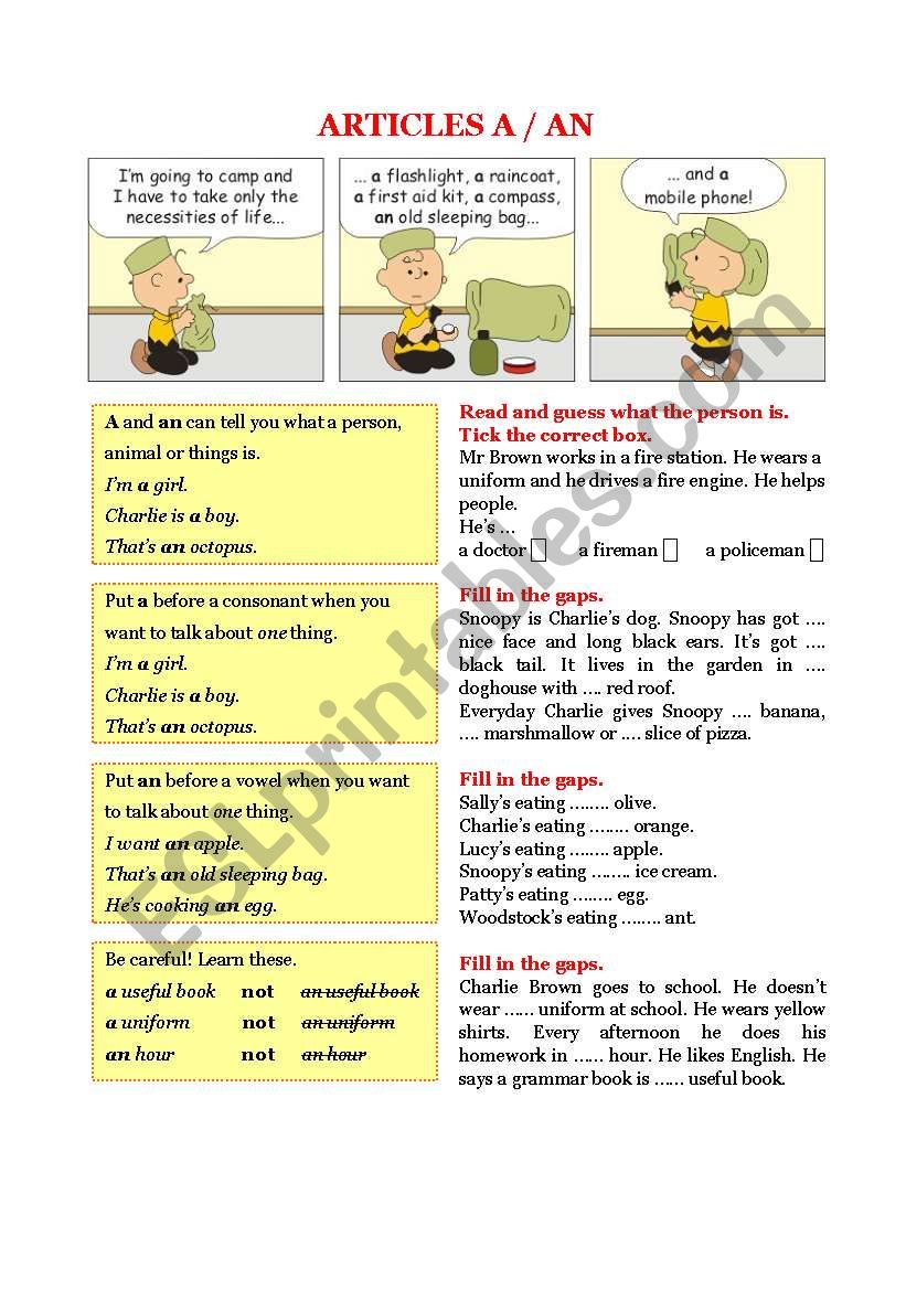 Grammar - Articles A / AN worksheet