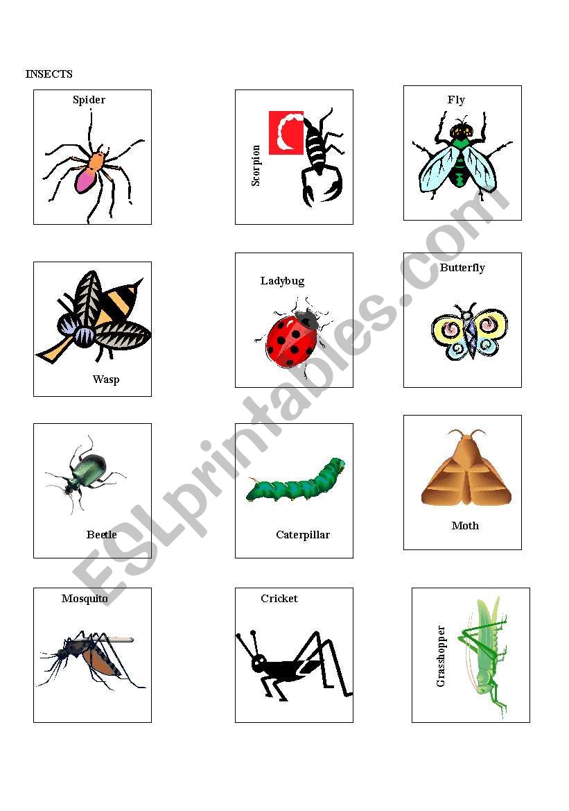 english-worksheets-insect-cards-for-bingo