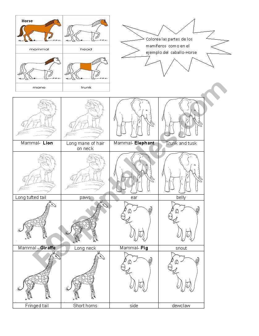 Mammals - Body Parts worksheet