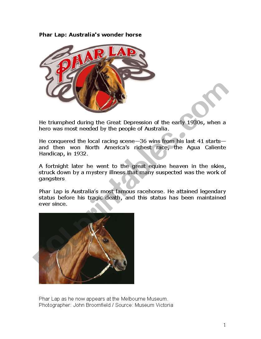 Phar Lap - the wonder horse of its time