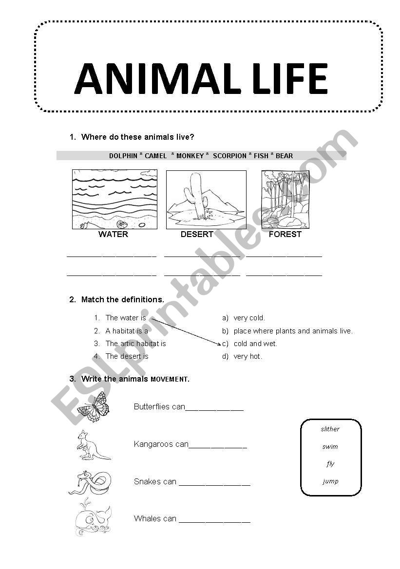 Animal life worksheet