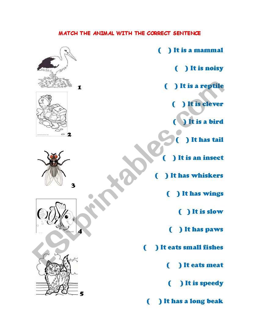 ANIMAL DESCRIPTION worksheet