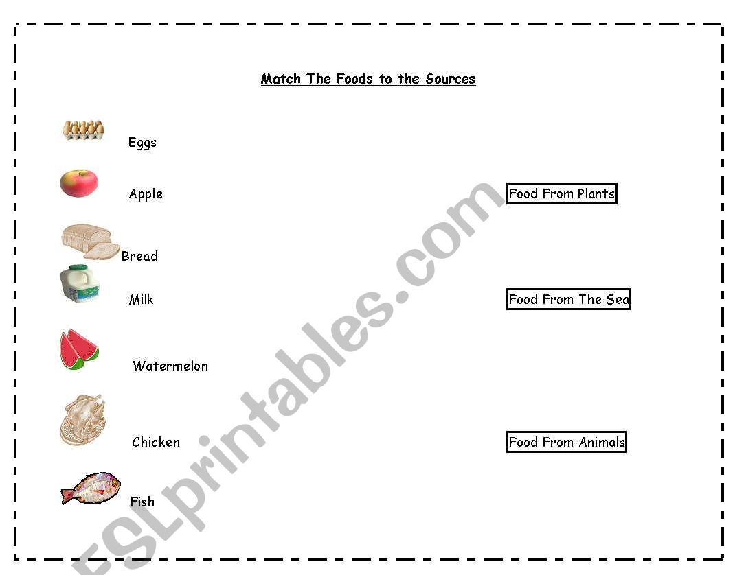 Food Sources worksheet