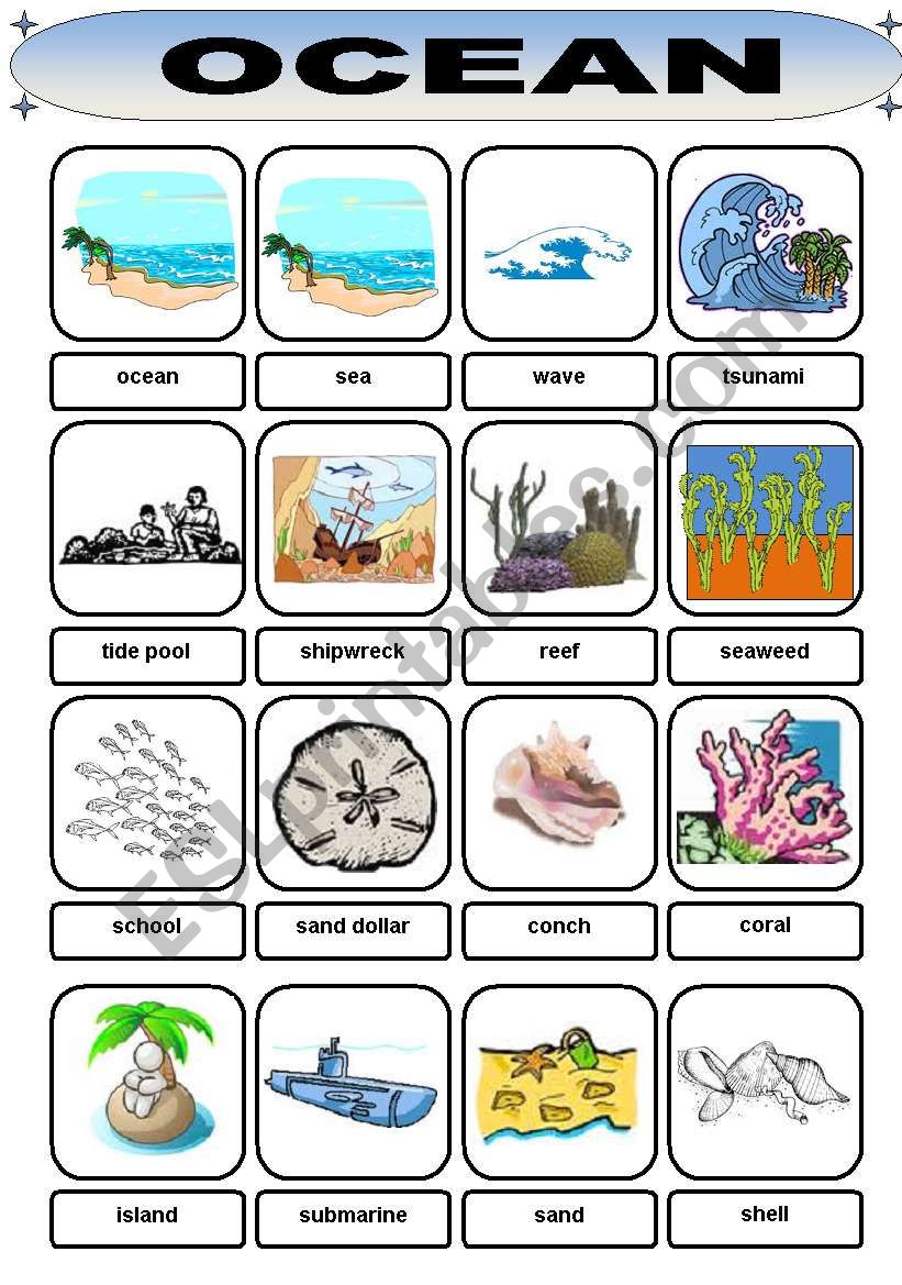 Ocean Vocabulary worksheet