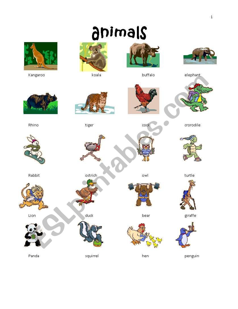 Animals worksheet