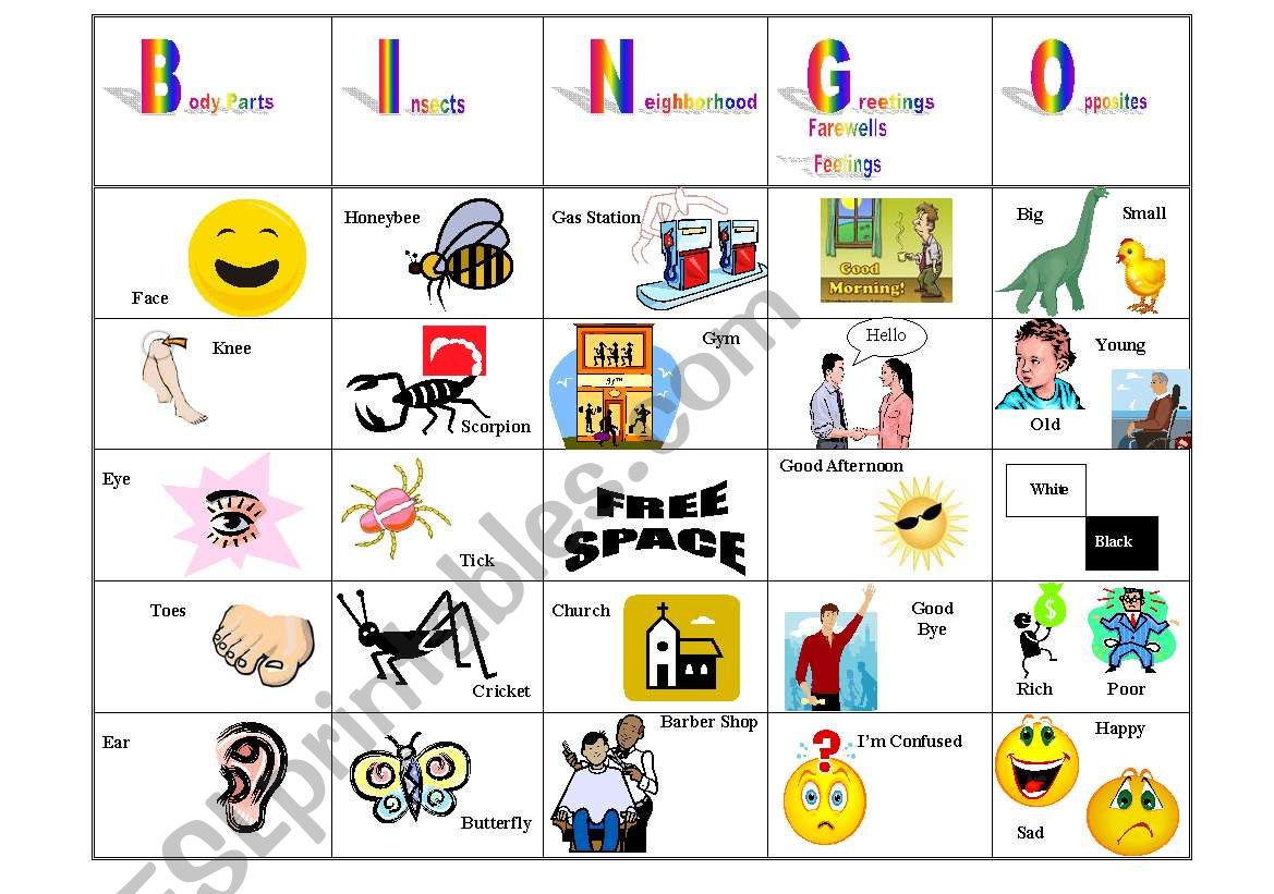 Vocabulary Bingo worksheet