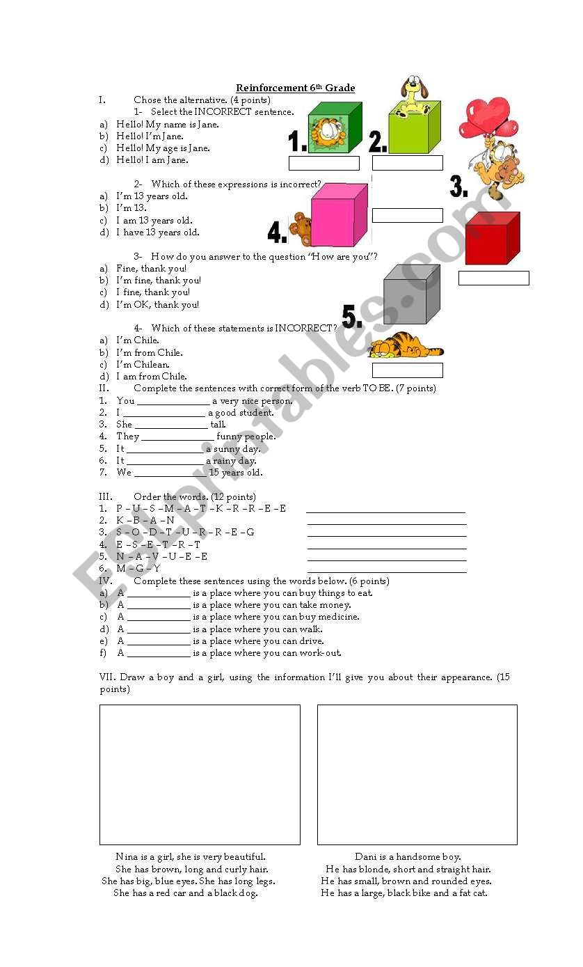 Worksheet for 6 grade worksheet