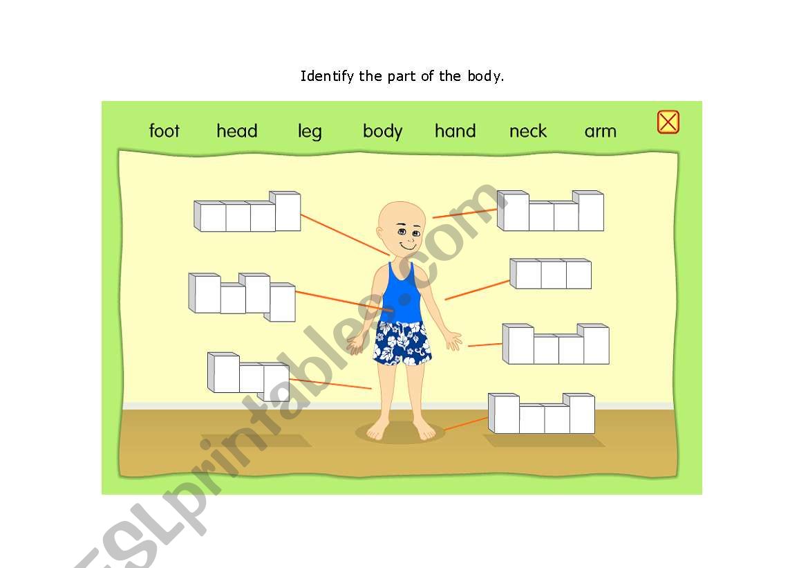 Parts of the Body worksheet