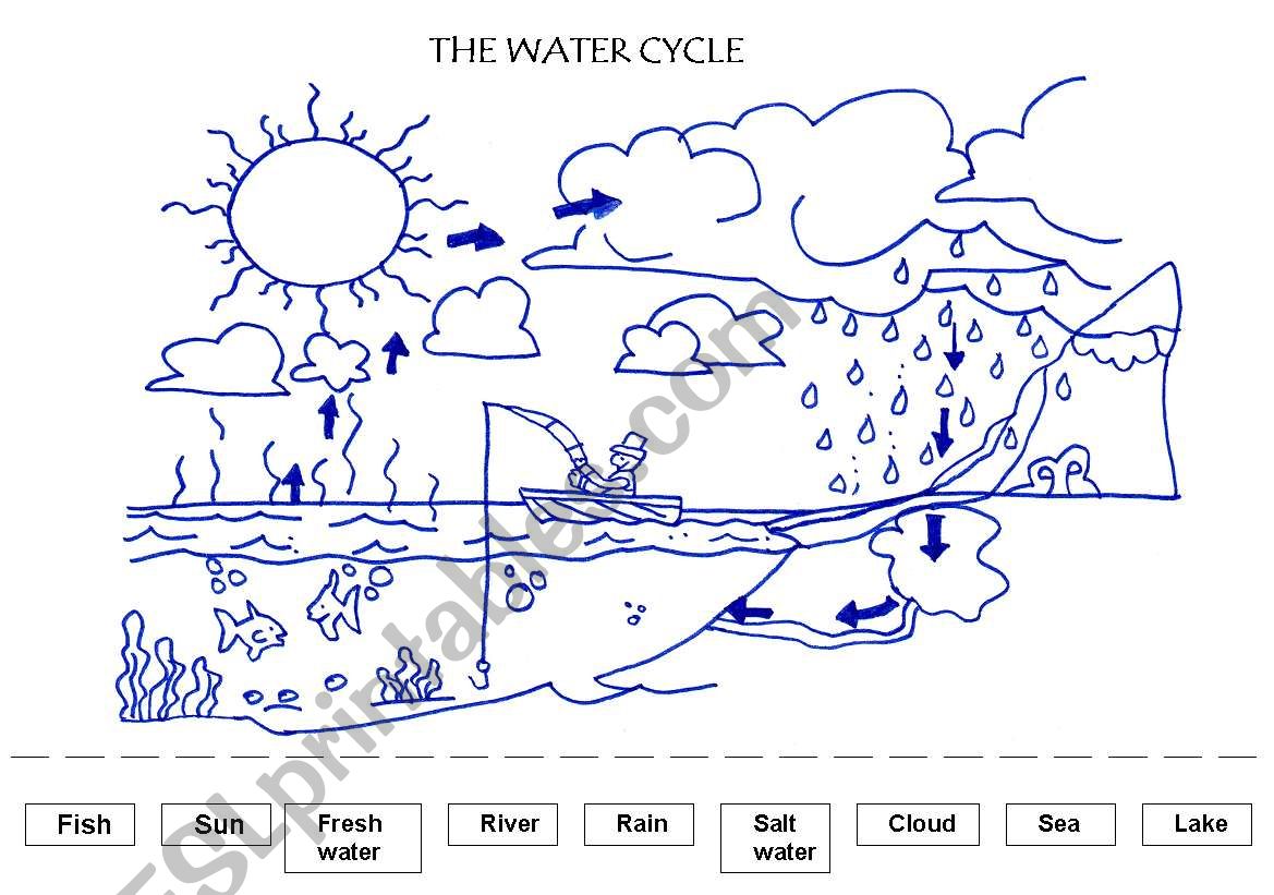 The water cycle - ESL worksheet by Pumuki20 With Water Cycle Worksheet Pdf