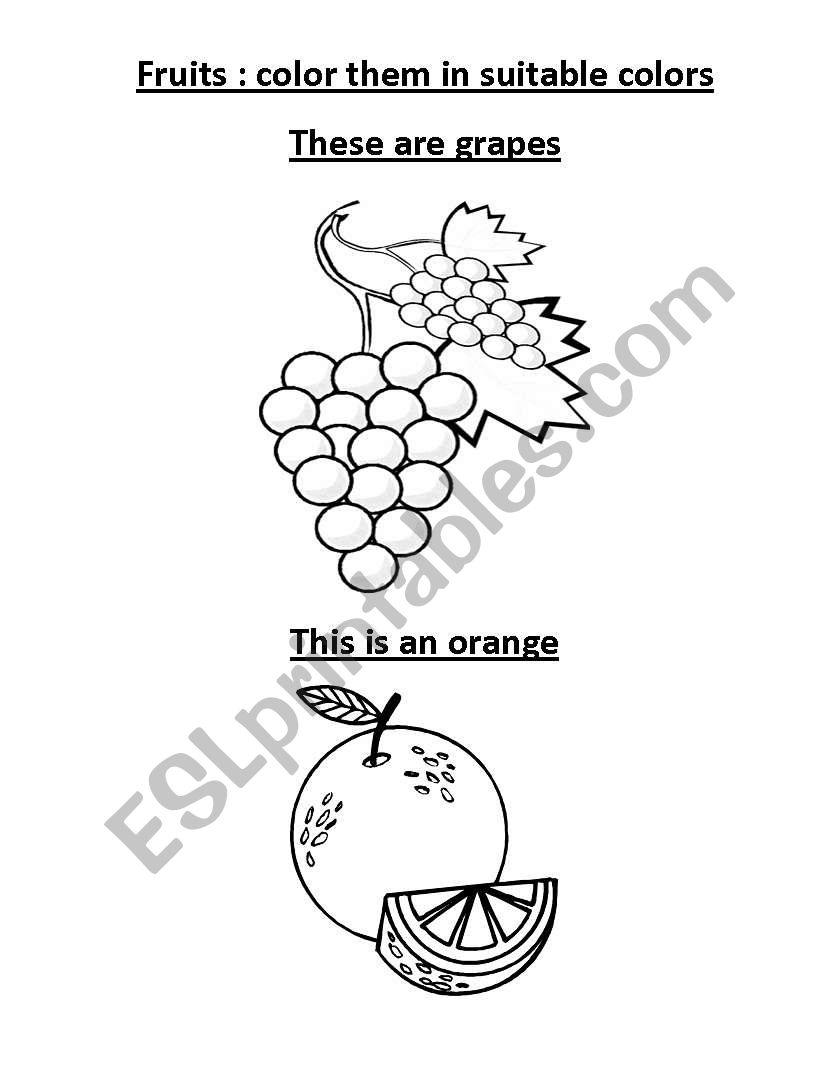 general knowledge worksheet