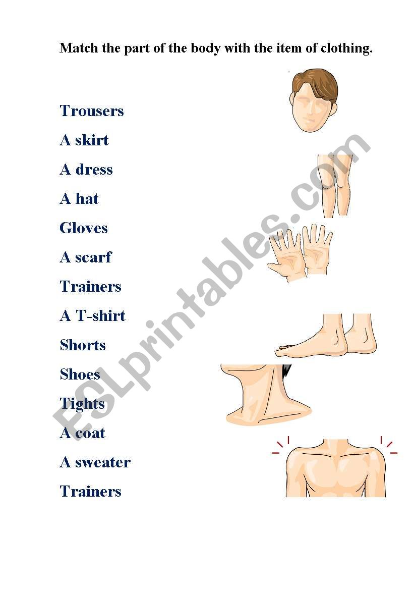 clothes and parts of the body worksheet