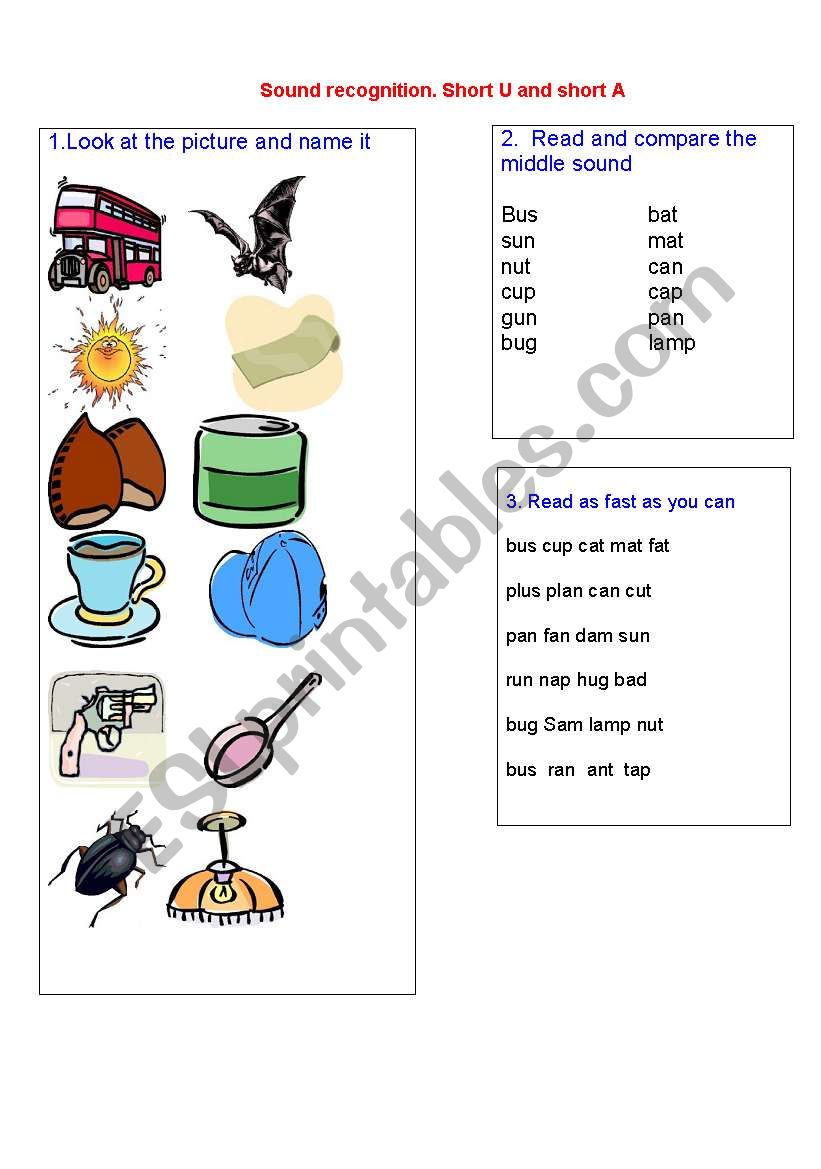 short A and short  U worksheet