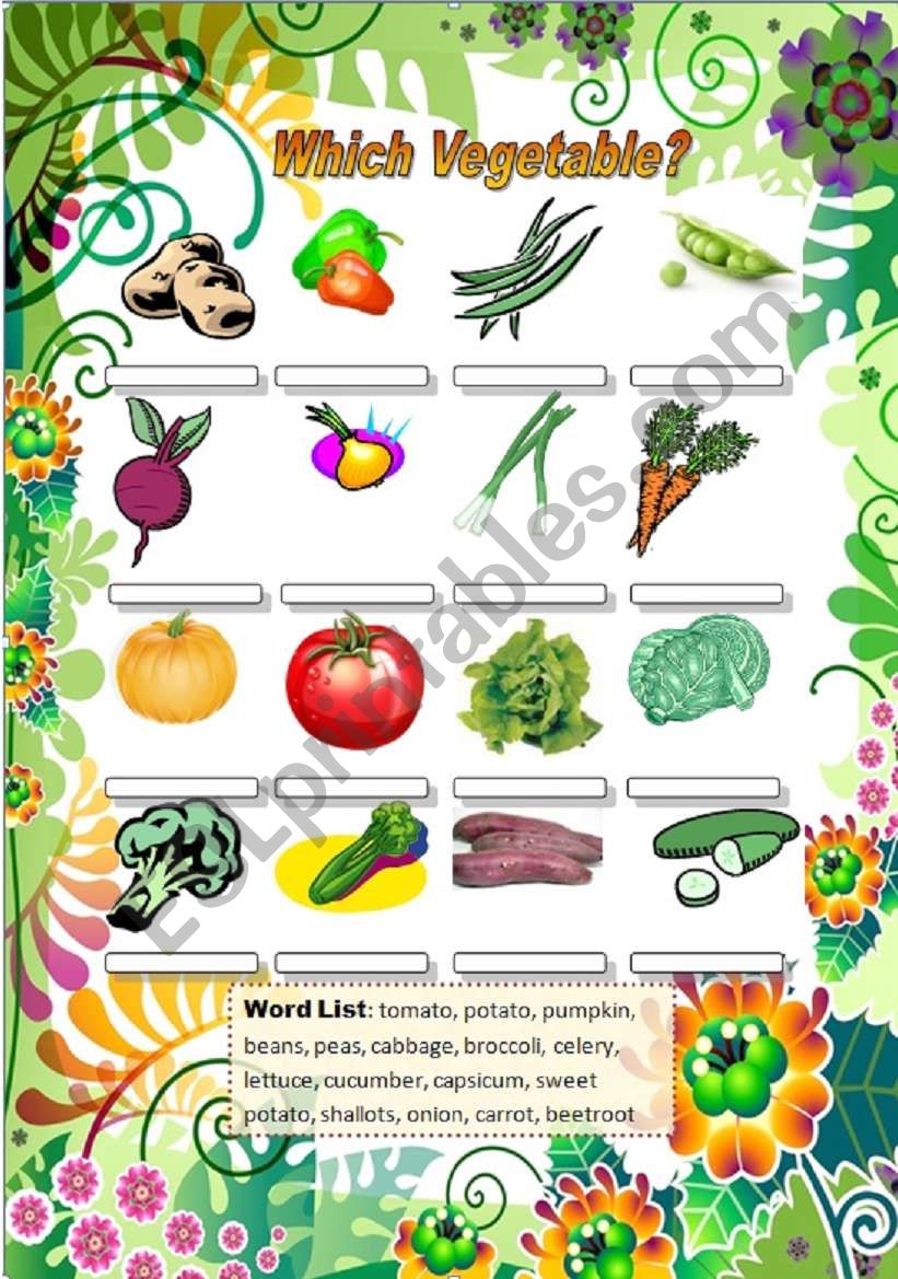 Which Vegetable? worksheet