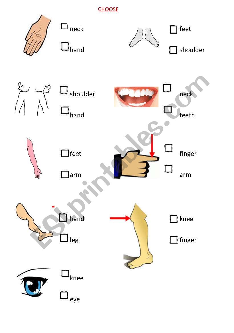 BODYS PARTS worksheet