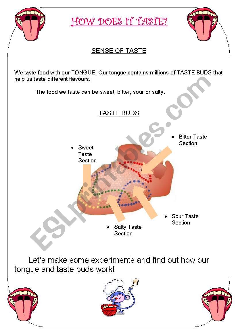 SENSE OF TASTE worksheet