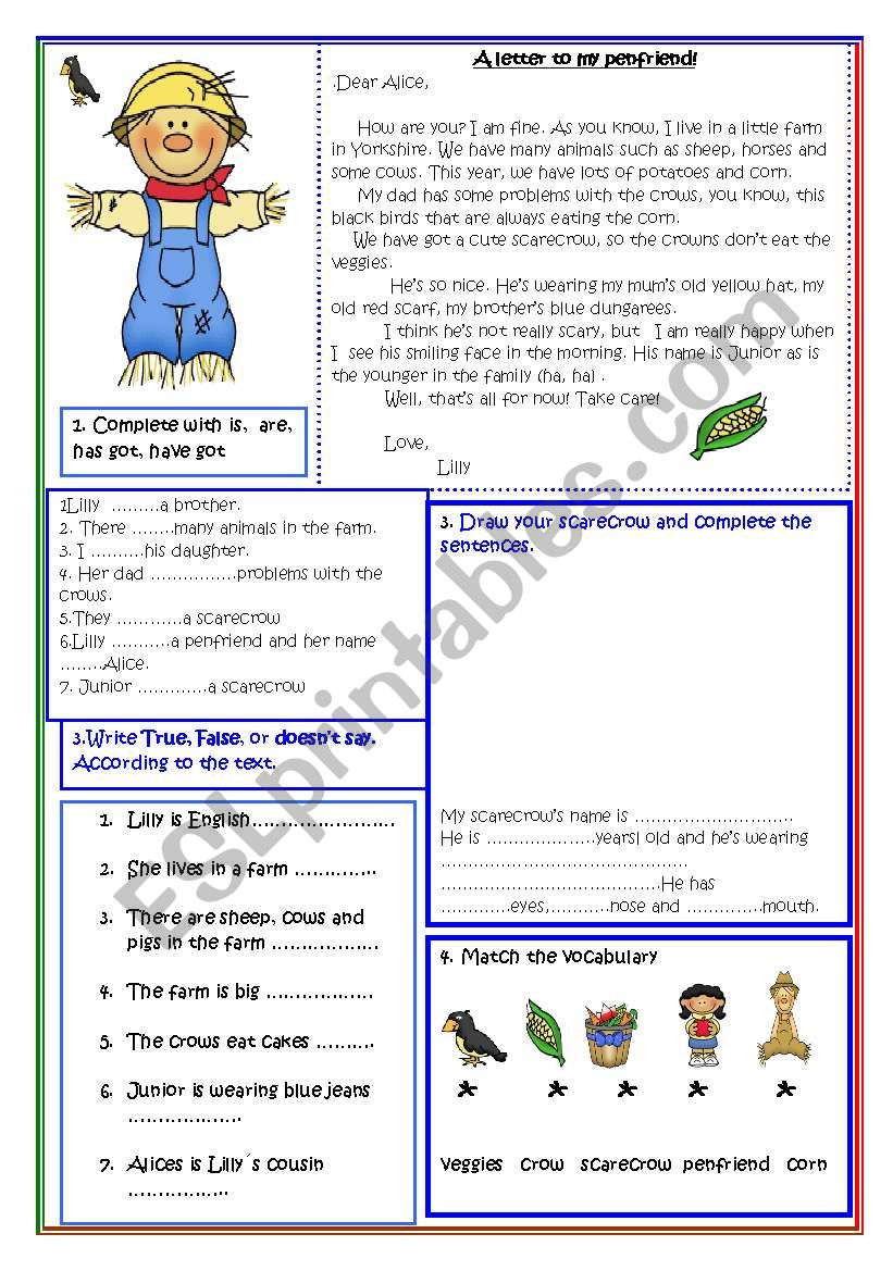 A letter to a penfriend! worksheet