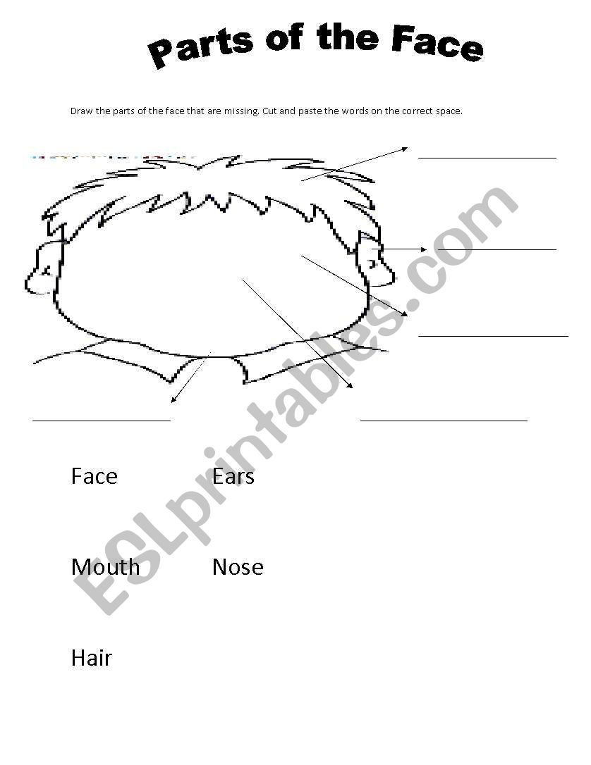 parts of my face worksheet