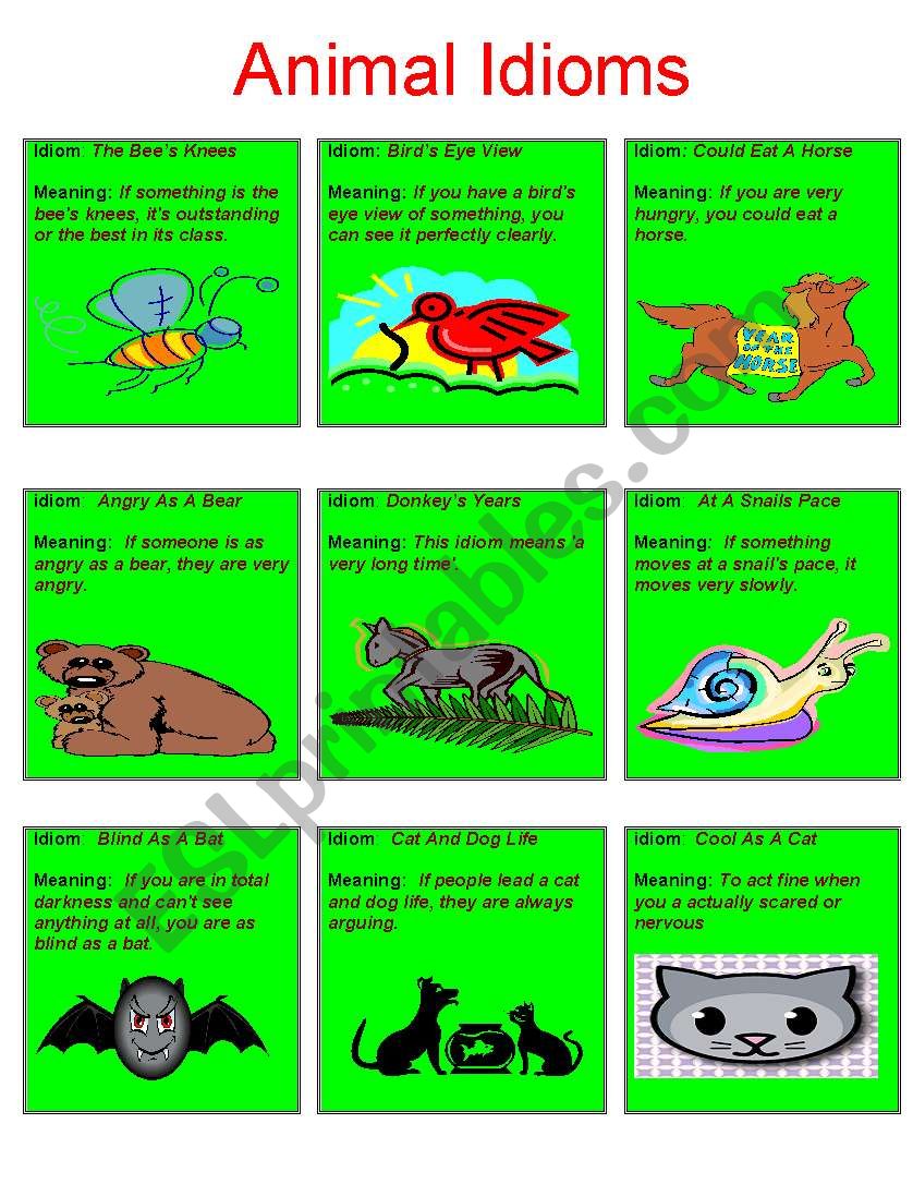 Animal idioms worksheet