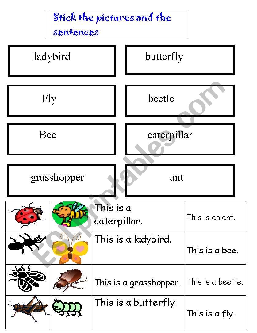 cut and stick insects/sentences