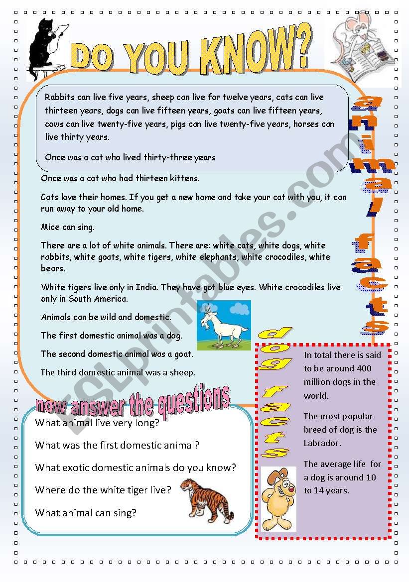 Animal facts. worksheet