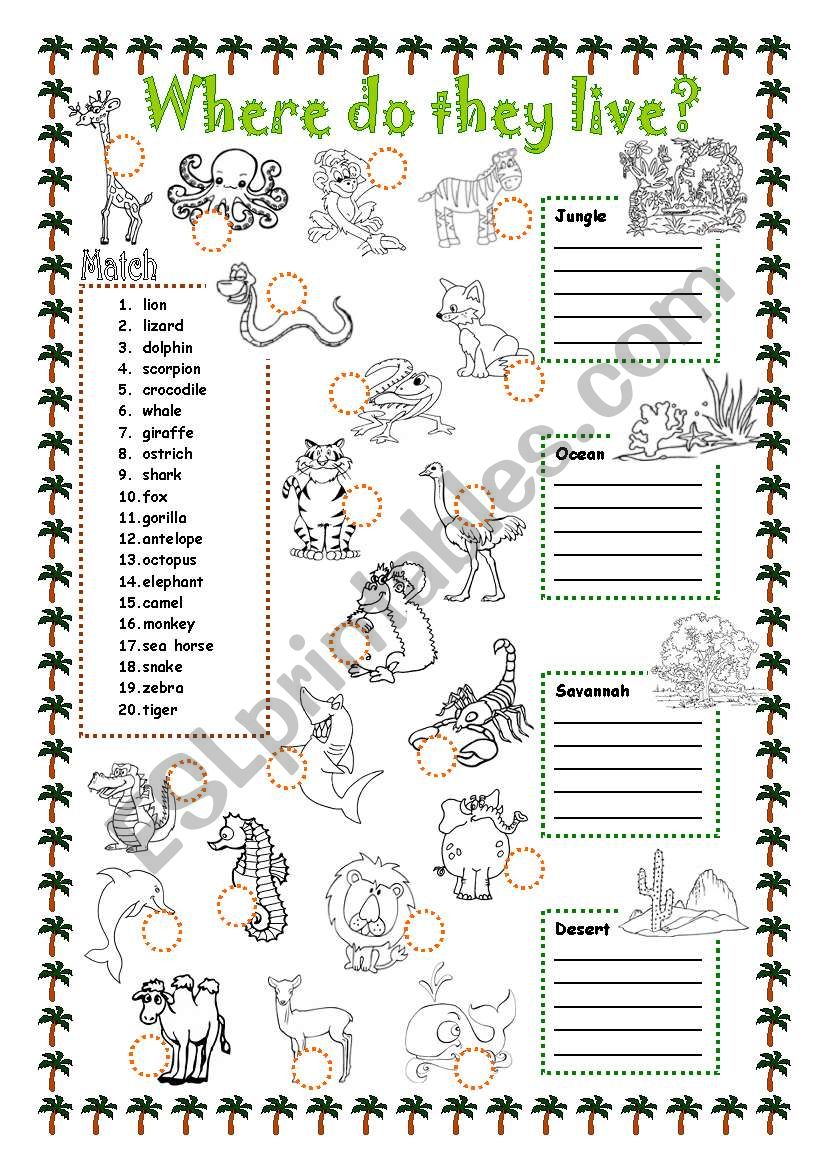 Animals - Where do they live? worksheet