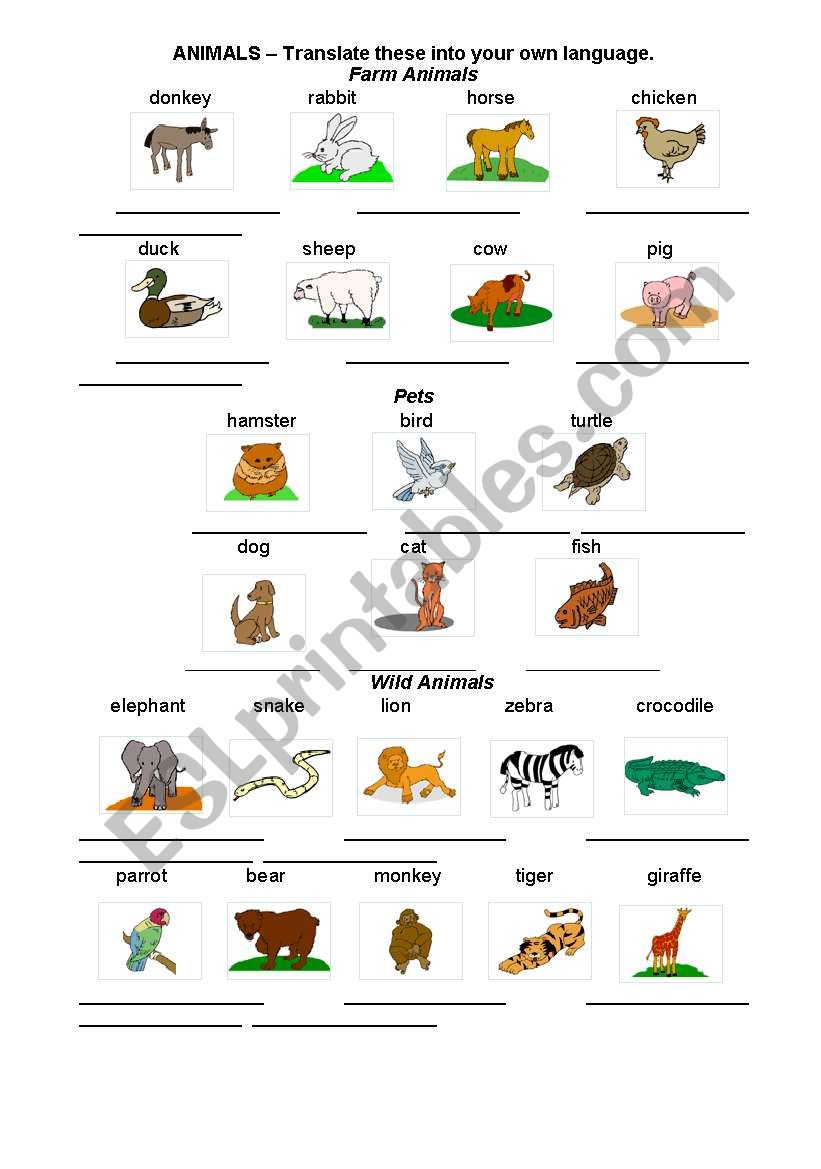 Animals worksheet