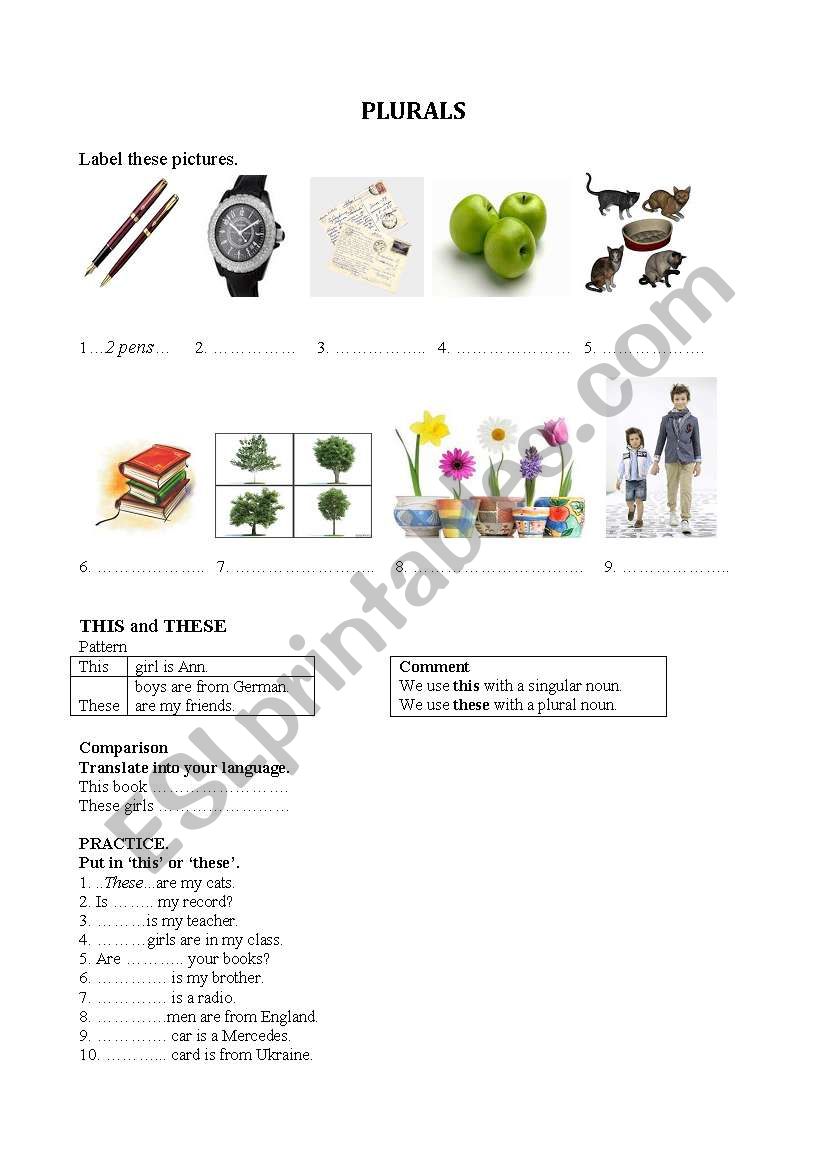 Plurals worksheet