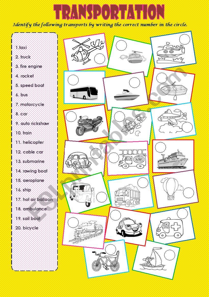 TRANSPORTATION 2 worksheet