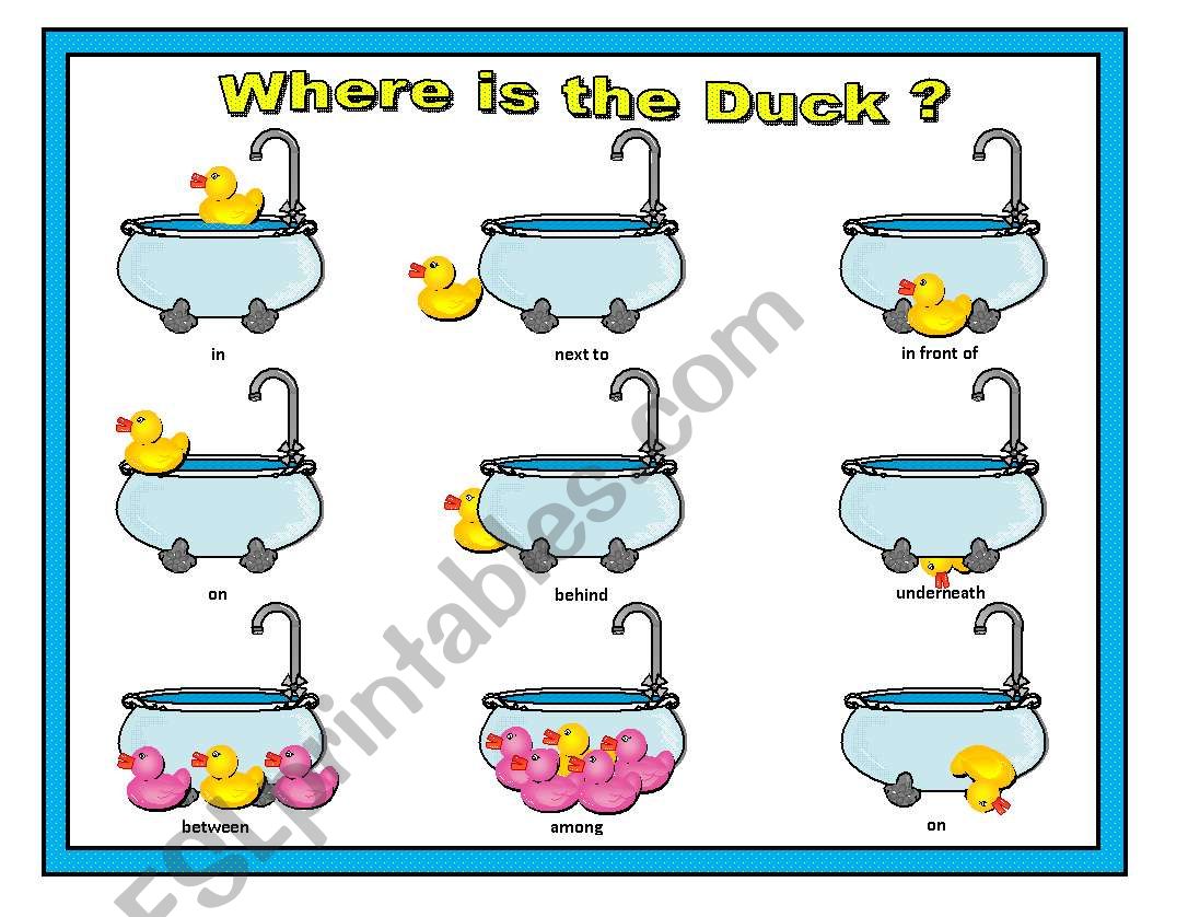 Where is the Duck Preposition Matching Cards Part 2 of 2