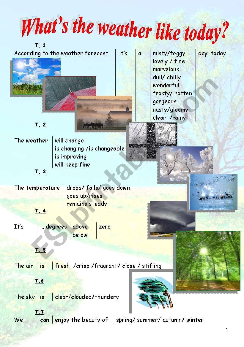 Weather worksheet