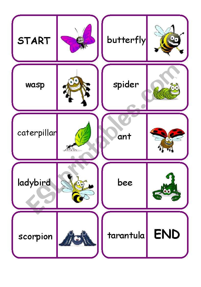 insects dominoes worksheet