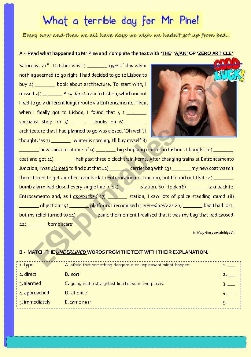 Â´THE Â´A/Â´ANÂ´ Â´ZERO ARTICLEÂ´ - reading 