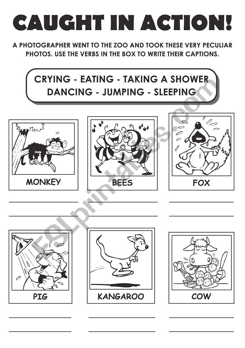 Caught in Action worksheet