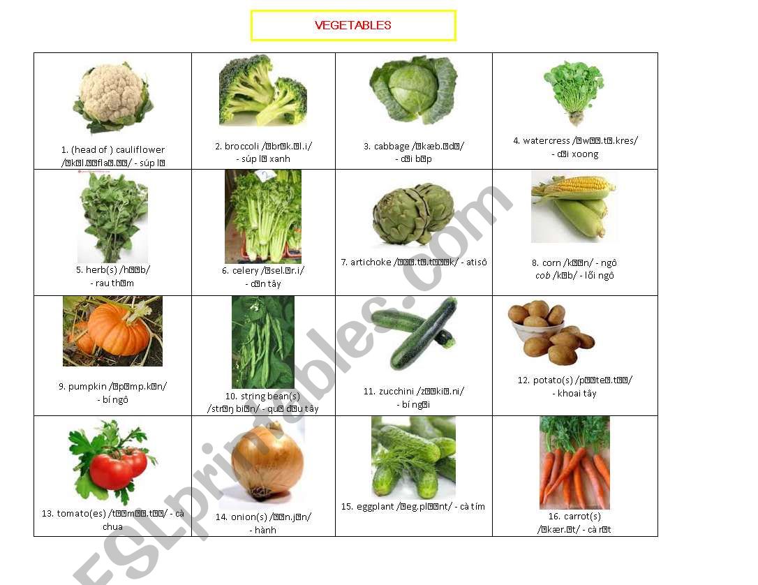 VEGETABLES worksheet