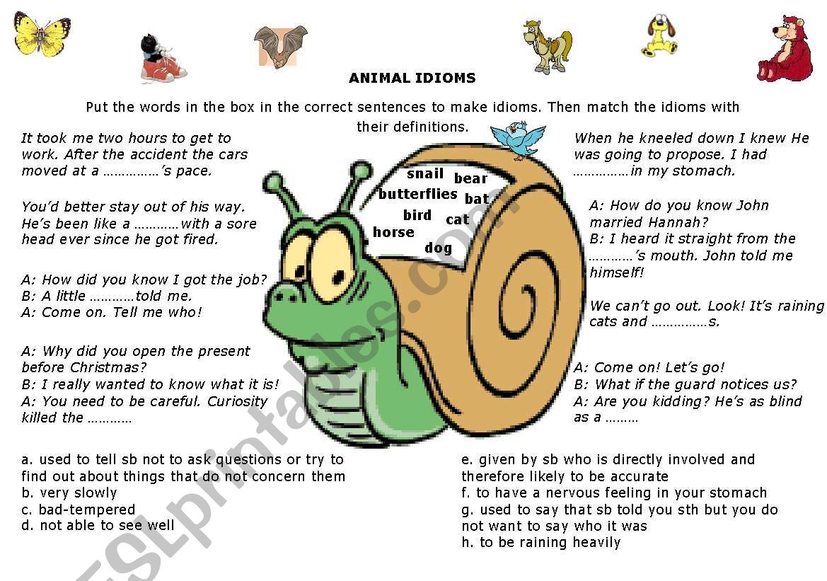 Idioms-animals worksheet