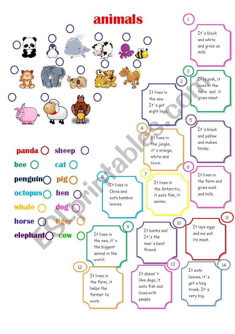 Animals worksheet