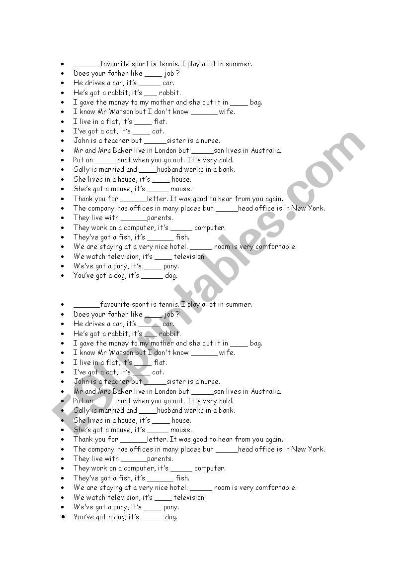 possessive determiners worksheet