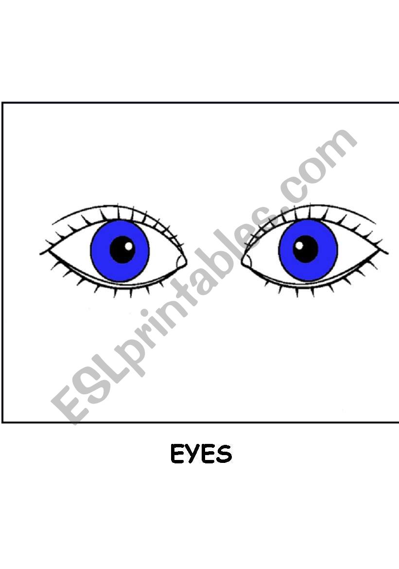 Body flashcards.Eyes, ears,hands and feet