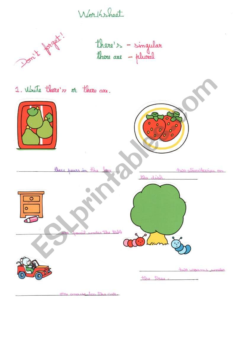 singular and plural worksheet