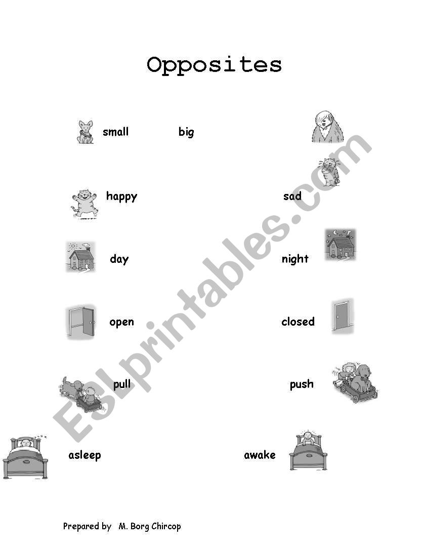 Learn the  Opposites worksheet