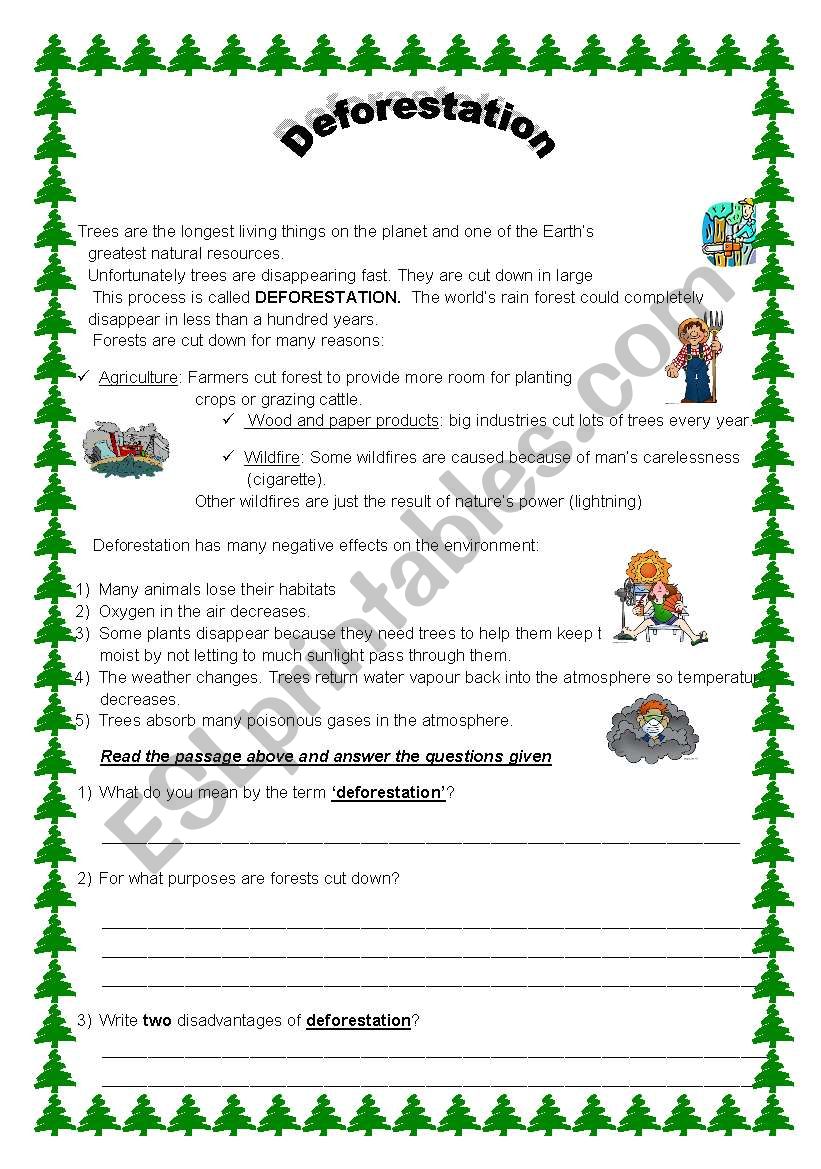 Deforestation worksheet