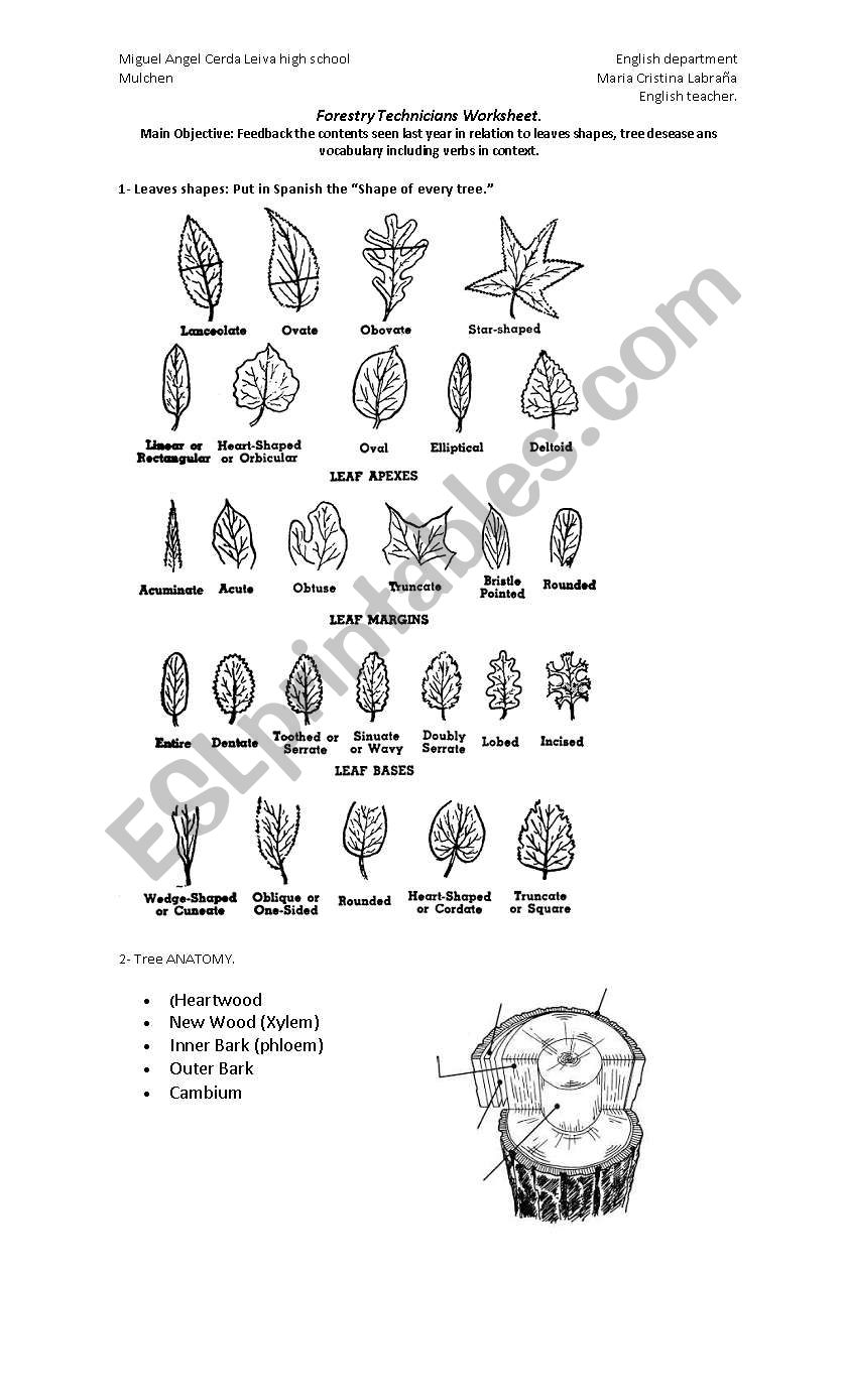 Forestry technicians Worsheet worksheet