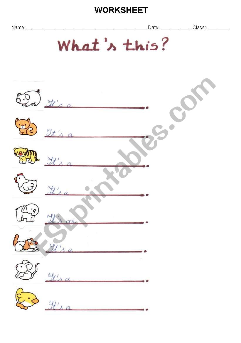 animals worksheet