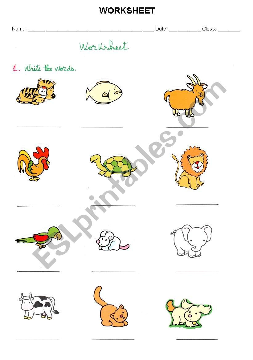 animals worksheet