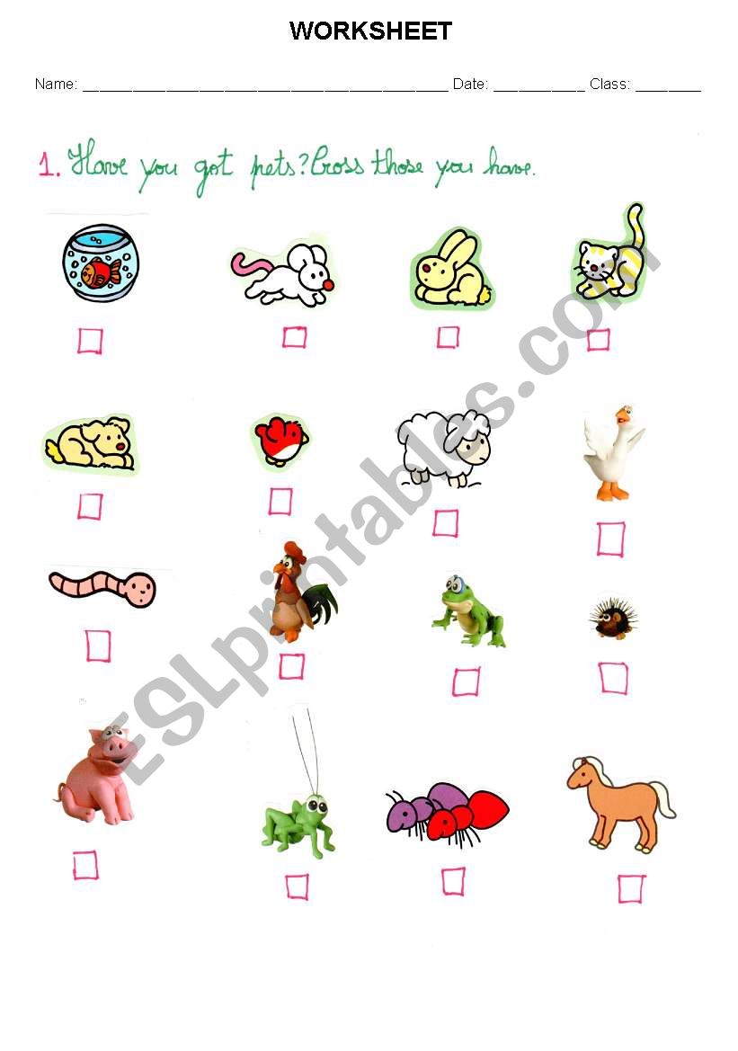 pets worksheet