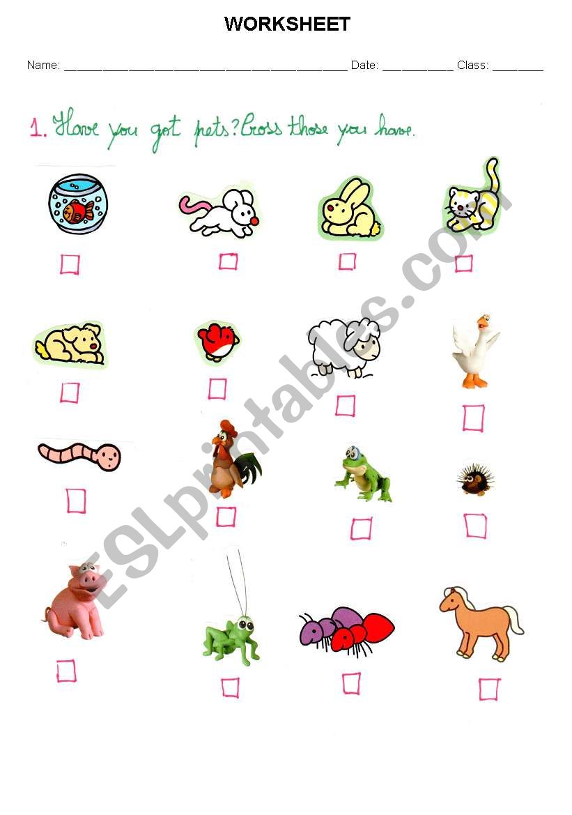 pets worksheet