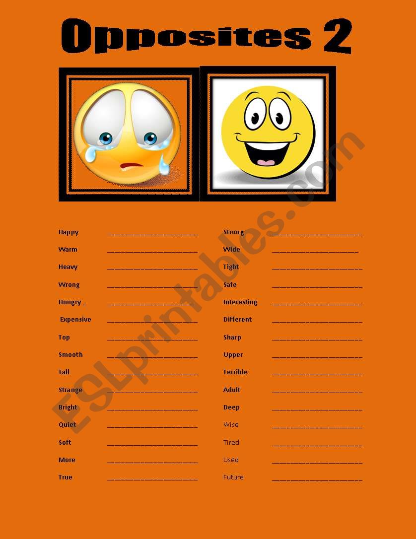 opposites 2 worksheet